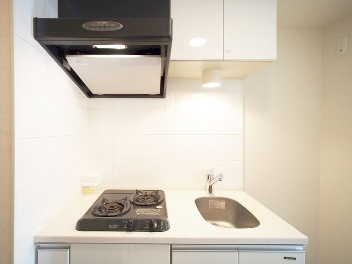 ﾌｪﾆｯｸｽ武蔵関弐番館（101）の物件内観写真