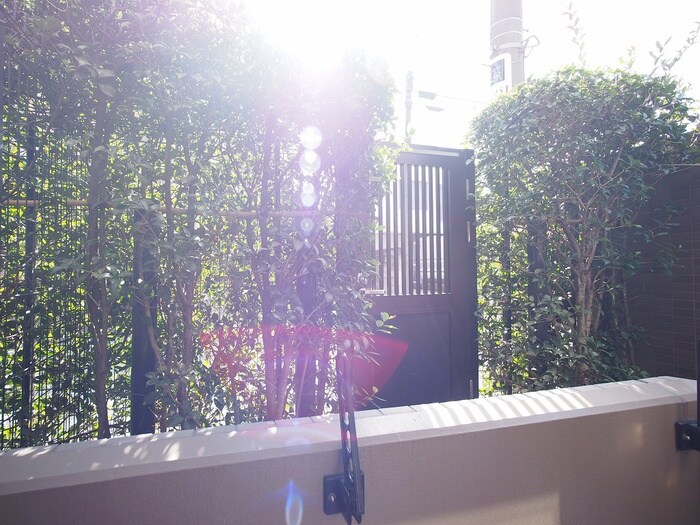 ﾌｪﾆｯｸｽ武蔵関弐番館（101）の物件内観写真