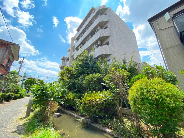 グリ－ンプラザ東綾瀬Ⅲ(３０５)の物件外観写真