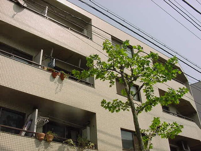 パレドール西荻窪　301号室の物件外観写真