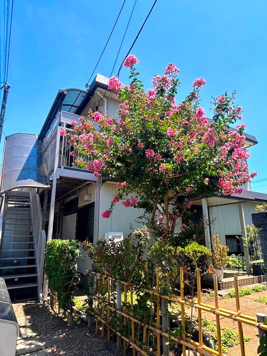 ハイツ檜葉の物件外観写真