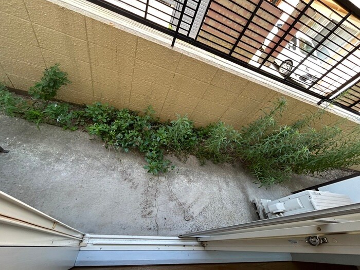 フレックスⅢの物件内観写真