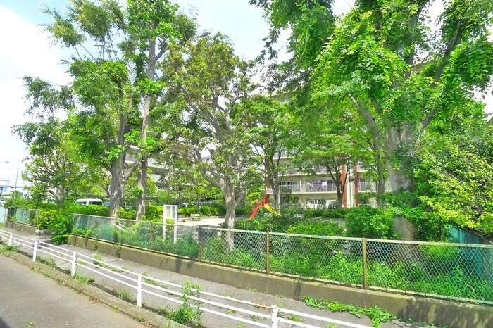 ハイツ伊藤の物件内観写真