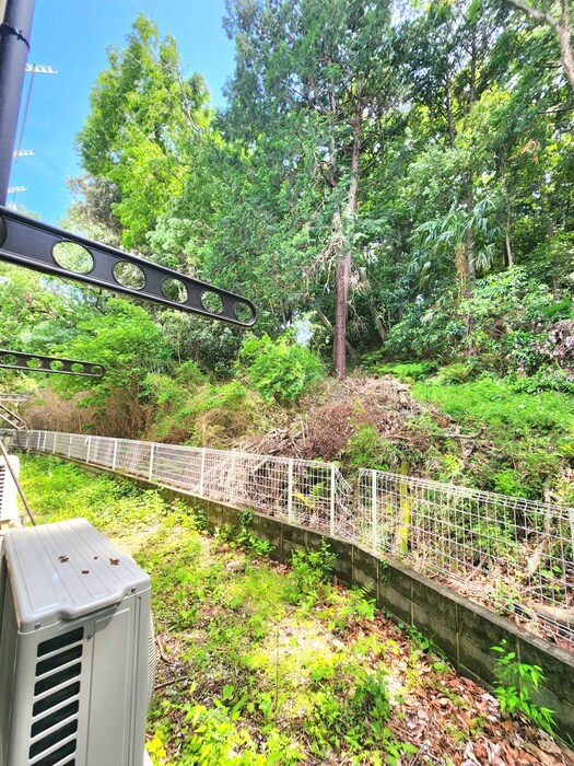 ASTREA向ヶ丘遊園の物件内観写真