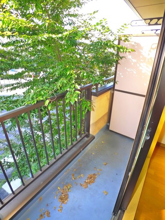 マドレーヌ南柏の物件内観写真