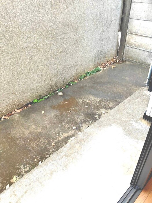 サンテラス弐番館の物件内観写真