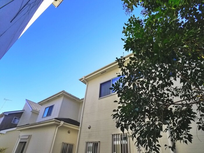 トップワイ上本郷の物件内観写真