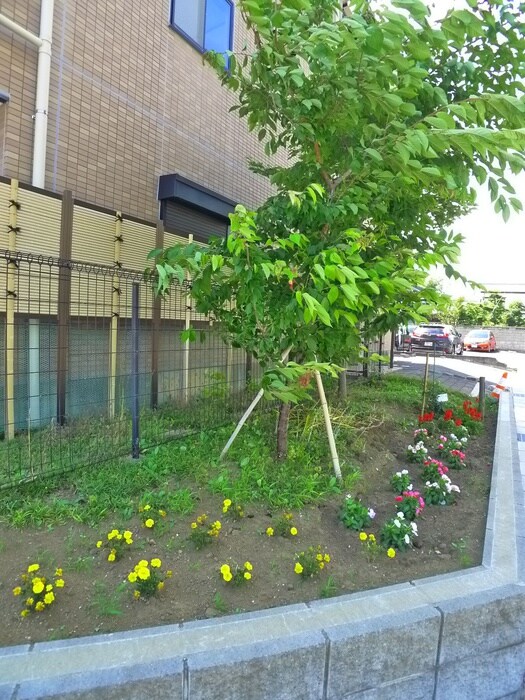 ハナミズキⅡの物件外観写真