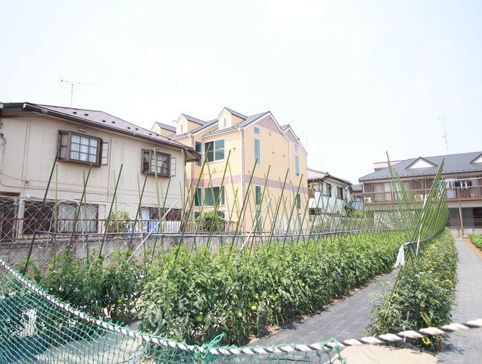 さくら元住吉の物件外観写真