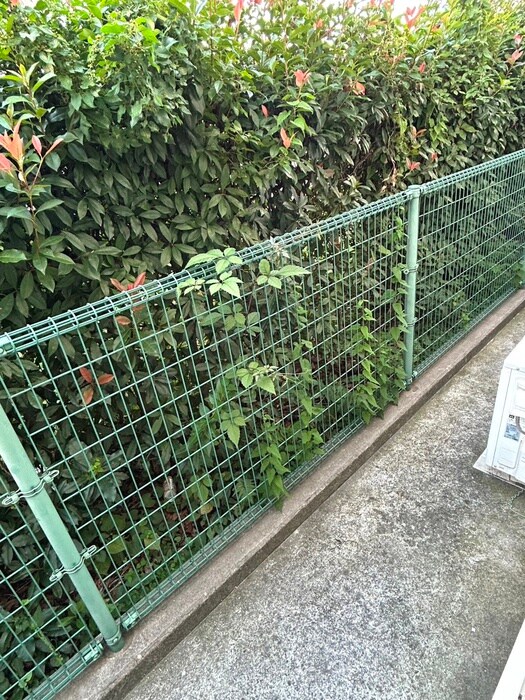 コ－ポ寿の物件内観写真