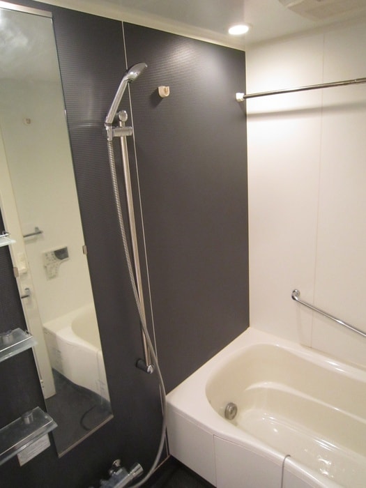 ドゥーエ日本橋浜町の物件内観写真