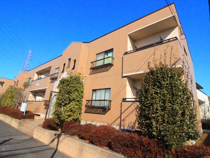 シャングリラの物件外観写真