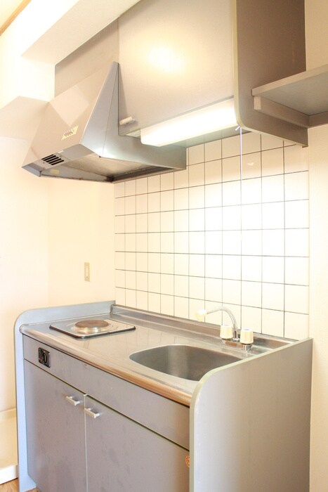 ルネッサンス向ヶ丘の物件内観写真