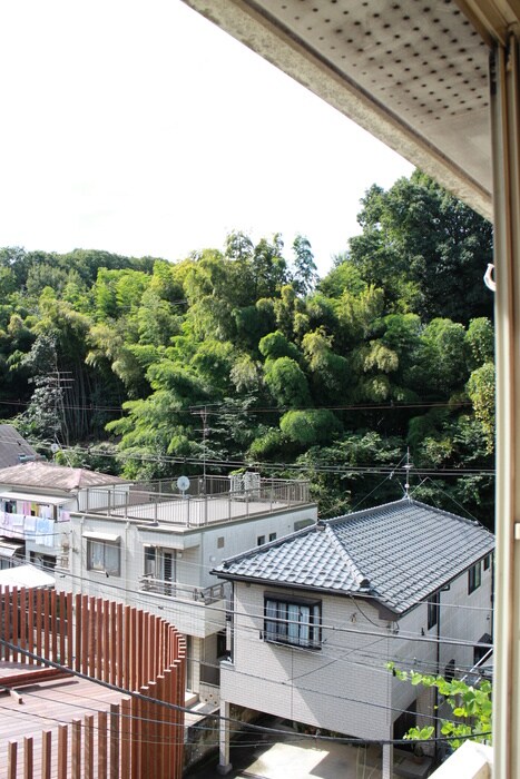 ルネッサンス向ヶ丘の物件内観写真