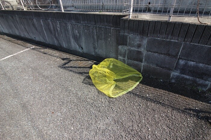 ウィステリアの物件外観写真