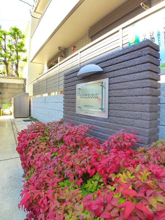 Ｌｅｃｉｅｌ大山の物件外観写真