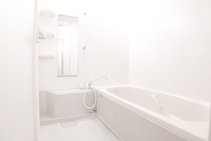 ラフィーヌ･ジュネスⅢの物件内観写真