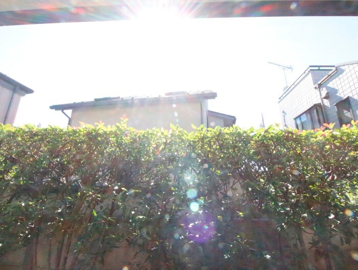 メゾンハ－ベストⅡの物件内観写真