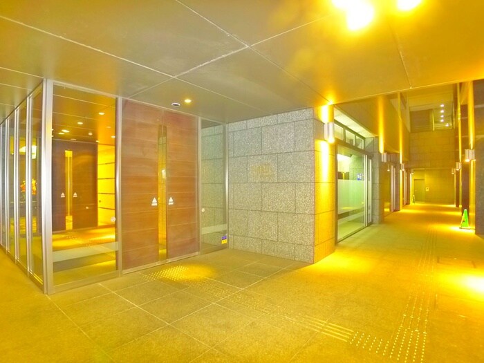 ｳﾞｨﾅｼｽ金町ﾀﾜｰﾚｼﾞﾃﾞﾝｽ（８０１）の物件外観写真