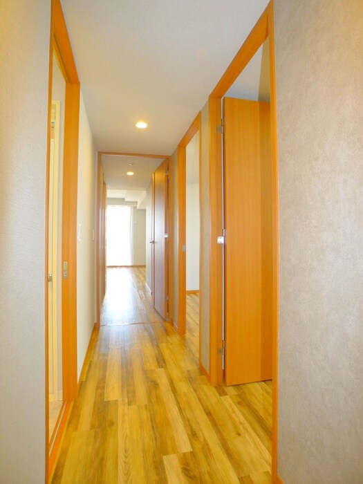 ｳﾞｨﾅｼｽ金町ﾀﾜｰﾚｼﾞﾃﾞﾝｽ（８０１）の物件内観写真