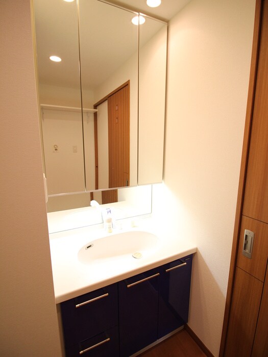 ロイヤルパークス新田の物件内観写真