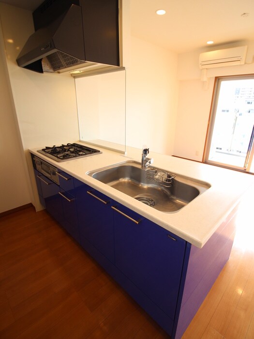 ロイヤルパークス新田の物件内観写真