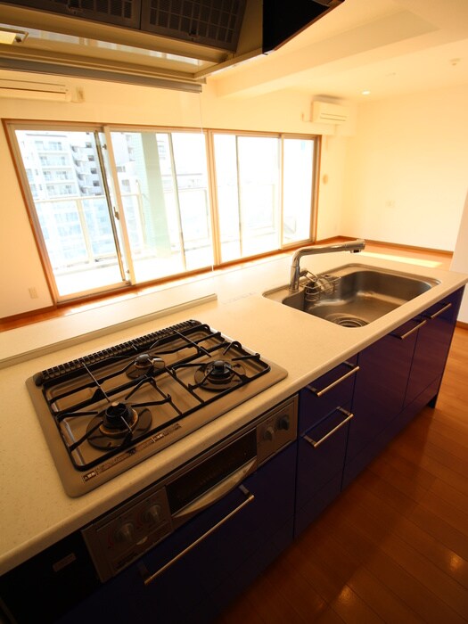 ロイヤルパークス新田の物件内観写真