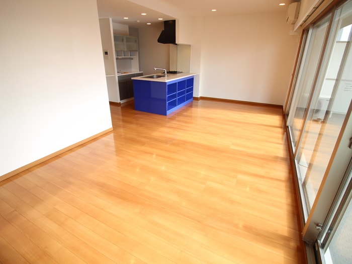 ロイヤルパークス新田の物件内観写真