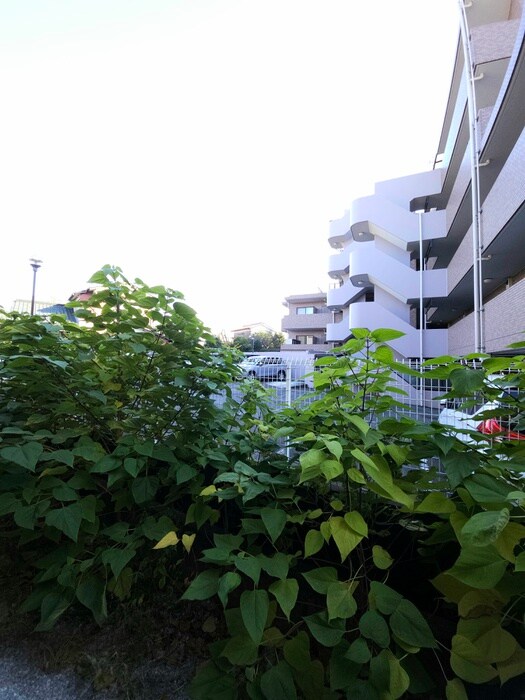 アルシオーネＢの物件内観写真