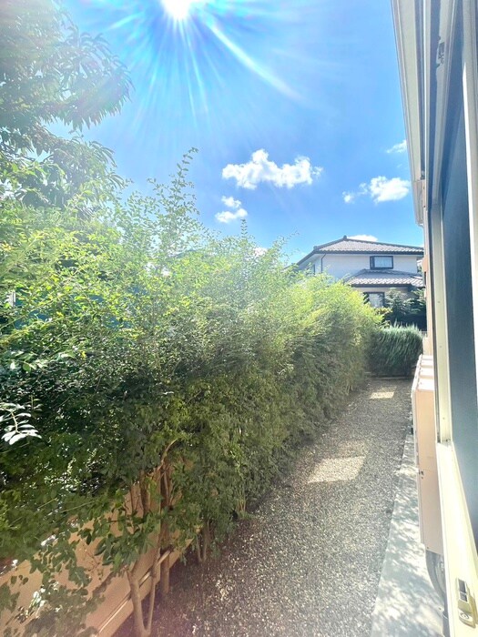 マスマニャーナの物件内観写真