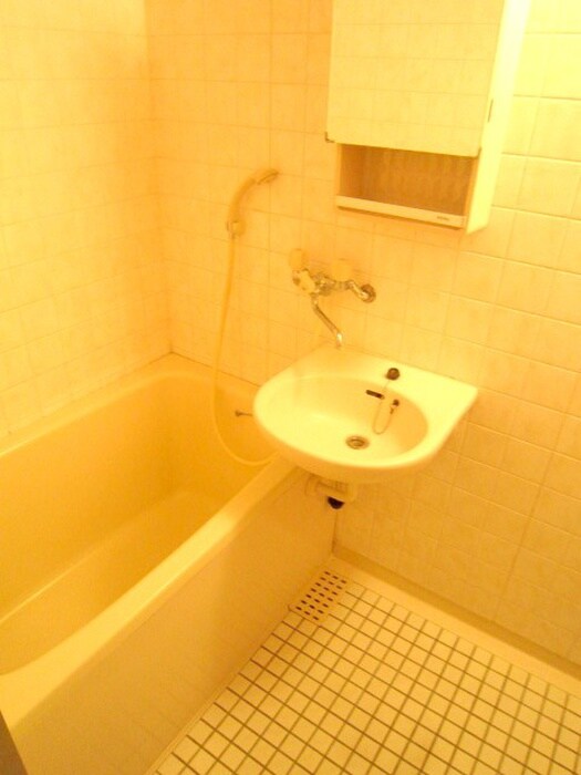 WOODY　VALLEY江戸川（３０１）の物件内観写真