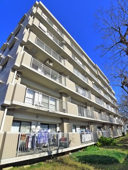 ヒルズ神明の木の物件外観写真