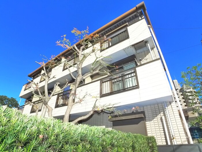 カーサビィオラの物件外観写真