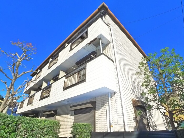 カーサビィオラの物件外観写真