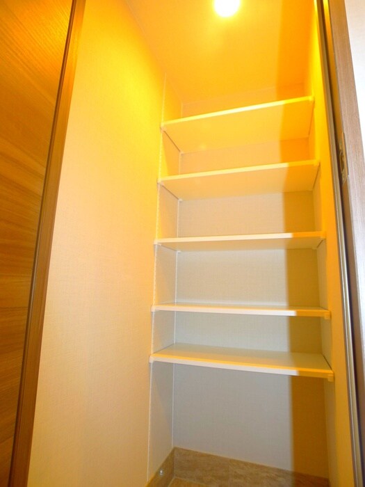 DIPS金町レジデンス（908）の物件内観写真