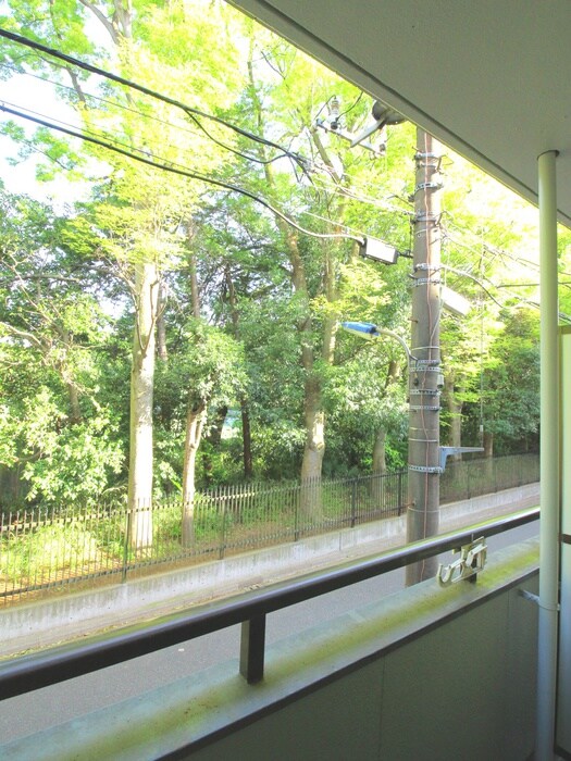 カレド・セルクルの物件内観写真