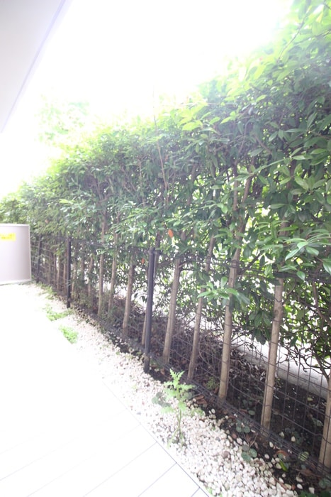 FULL　HOUSE　GAKUGEI　DAIGAKUの物件内観写真