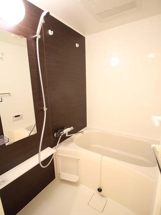 パークアクシス押上レジデンスの物件内観写真