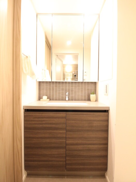 ザ・パークハビオ月島フロントの物件内観写真