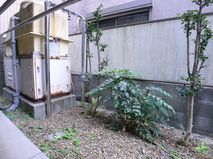 いちごパレスの物件内観写真