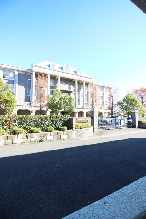 ｴｽﾃ-ﾄ山崎の物件内観写真