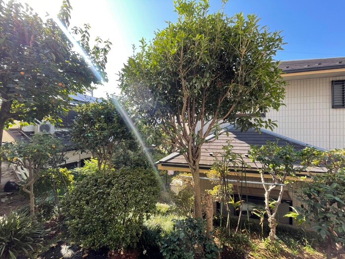 コーポイノウエの物件内観写真