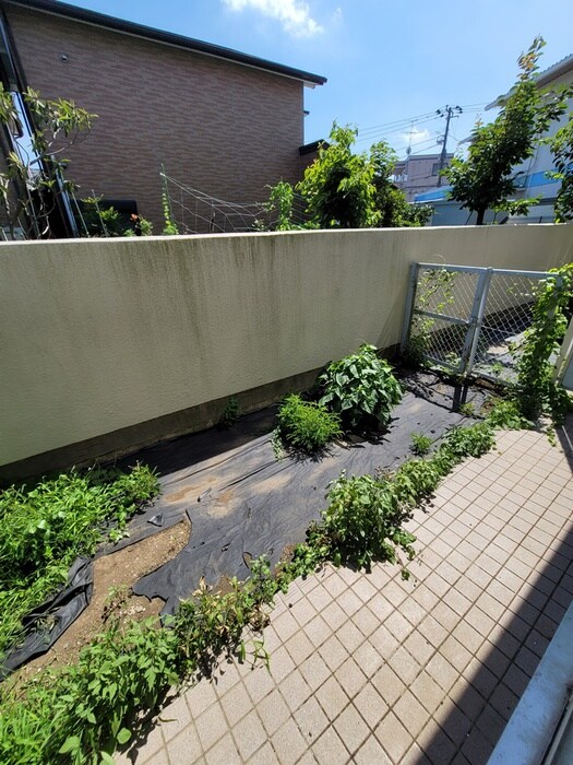 ホワイトシャトレ－の物件内観写真