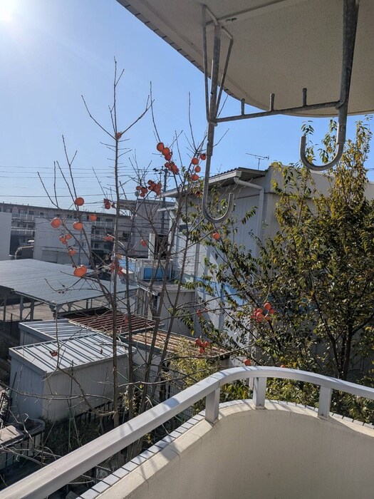 ホワイトシャトレ－の物件内観写真