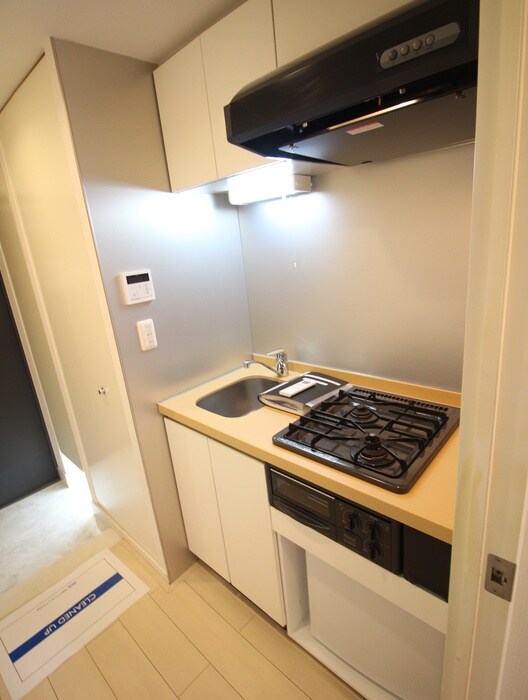 レジディア新宿イ－ストⅡの物件内観写真