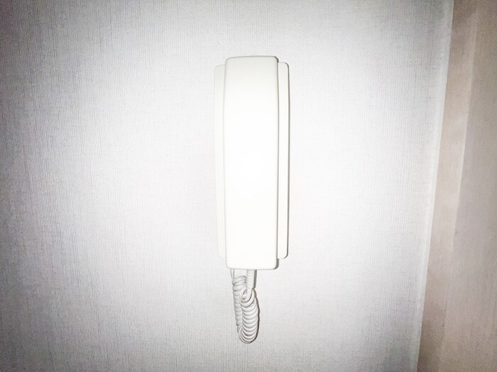 細井ハイツ2の物件内観写真