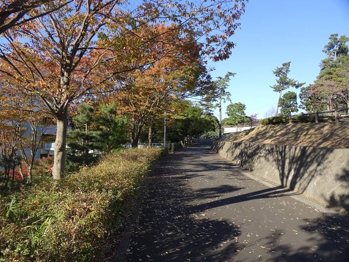 若喜ハイツの物件外観写真