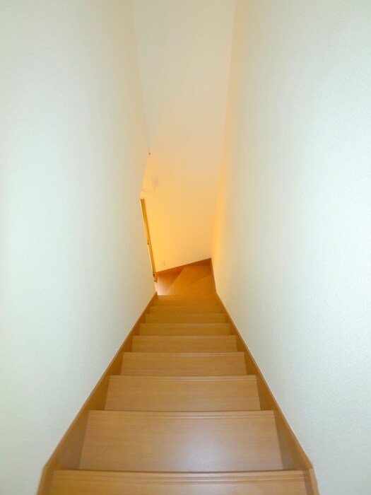 シンセリティナカエイの物件内観写真