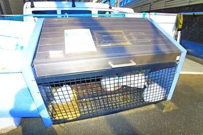 Full　Wise　Ⅱの物件外観写真