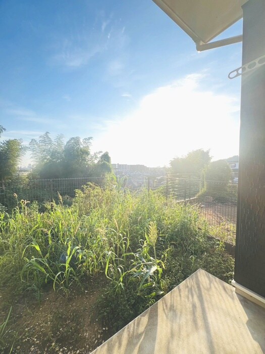 ブル－ラグ－ンの物件内観写真